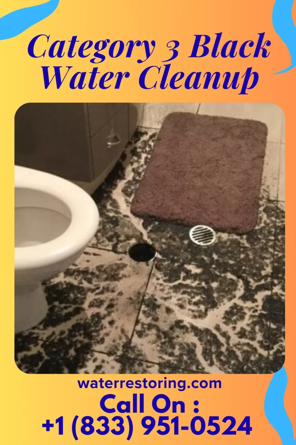 Category 3 Black Water Cleanup in Pueblito, NM